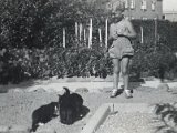 Familiealbum Sdb015 3  1944 Ja, så kom den.  Tækkers have august 1944 med tre vilde kattekillinger